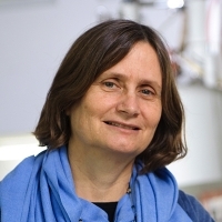 Prof. Michal Neeman